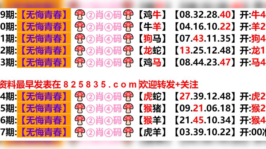 49.ccm澳门开奖和宿舍5人推免双一流与双一流大学推免率