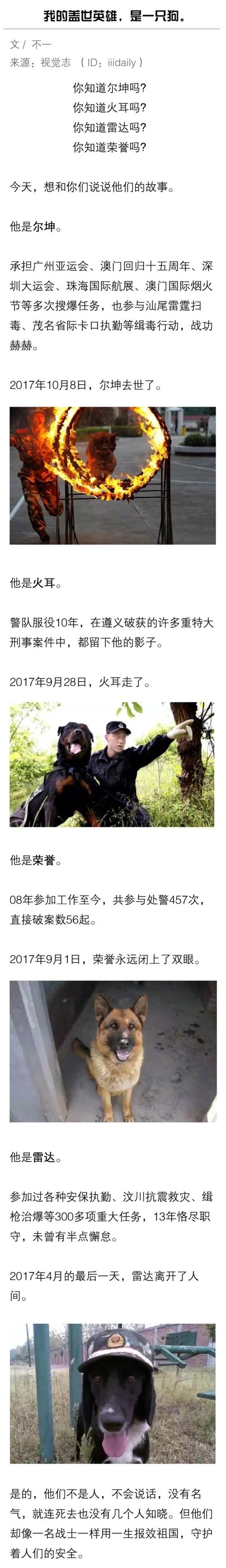 新门内部资料最快更新和600一节课教狗如厕与
