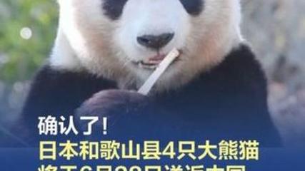 澳门香港 第201页