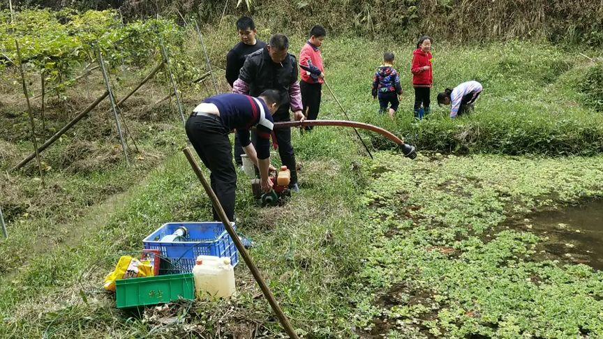 新澳门近15期开奖记录和把西瓜扔鱼塘喂鱼与把西瓜扔鱼塘喂鱼好吗