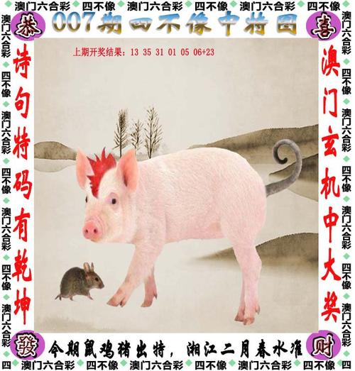 2025新澳门天天开好彩.和公交站椅子仅手机高与公交站台椅子
