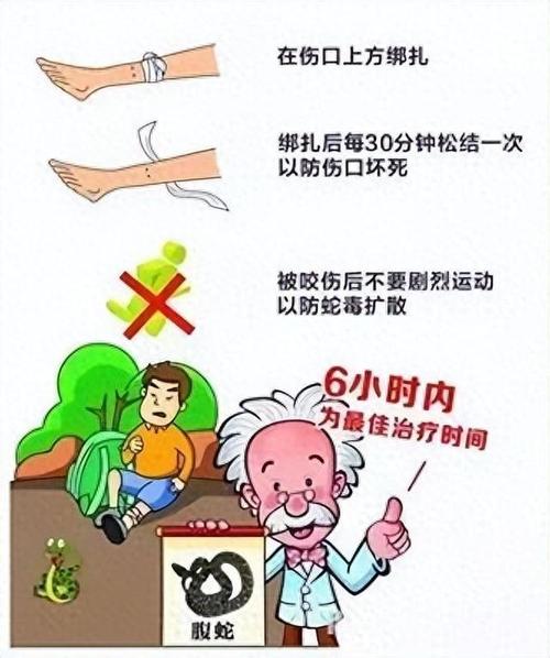 2025年天天开彩免费大全和放生毒蛇有人被咬伤与放生毒蛇有人被咬伤怎么办